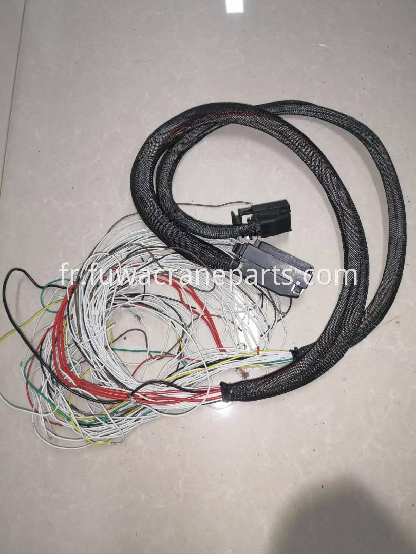 Control box PLC cable of FUWA